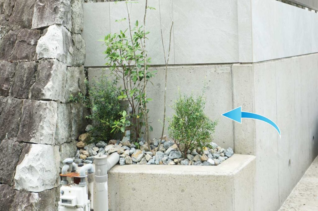 ビルベリー 植栽施工事例１