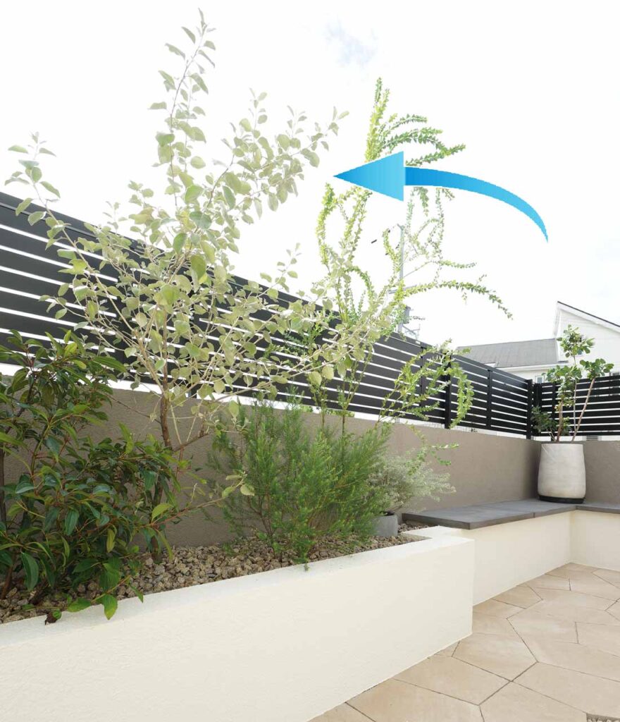 シマグミ 植栽施工事例１