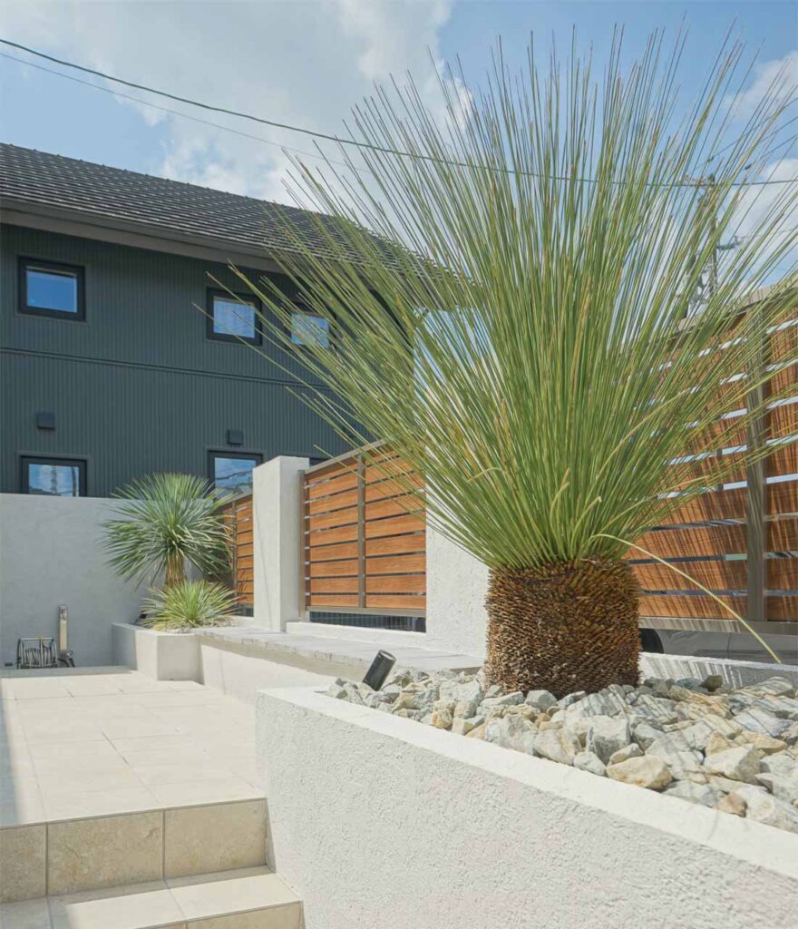 ユッカ 植栽施工事例１