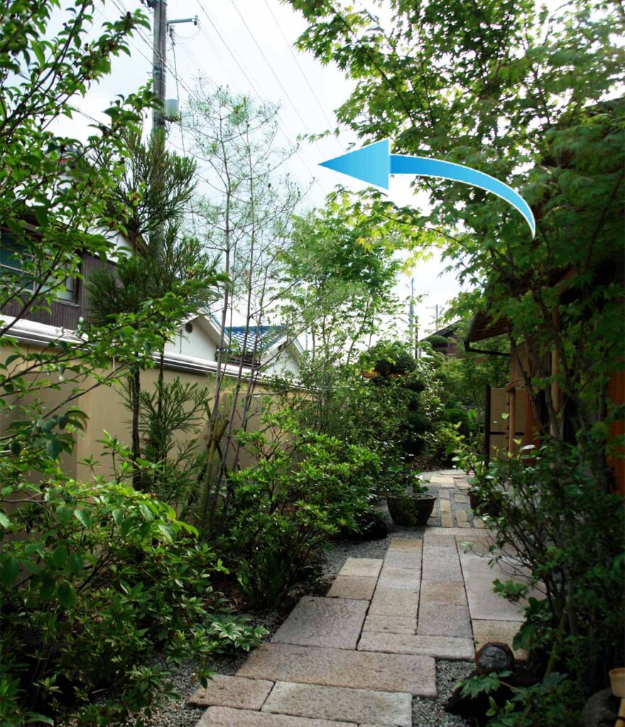 アカマツ 植栽施工事例２