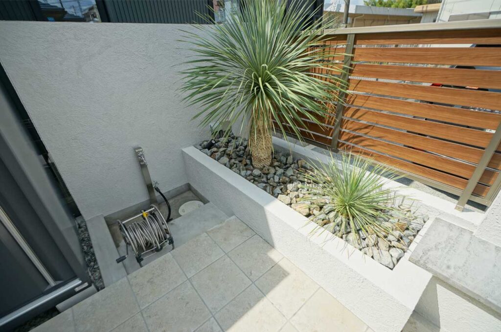 ユッカ 植栽施工事例３