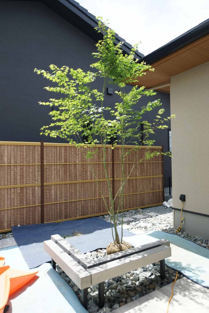 植木の植え付け方 角度の調整