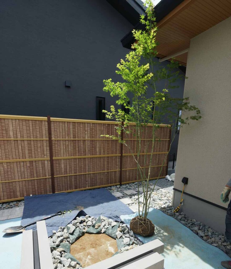 植木の植え付け方 防草シートをめくる