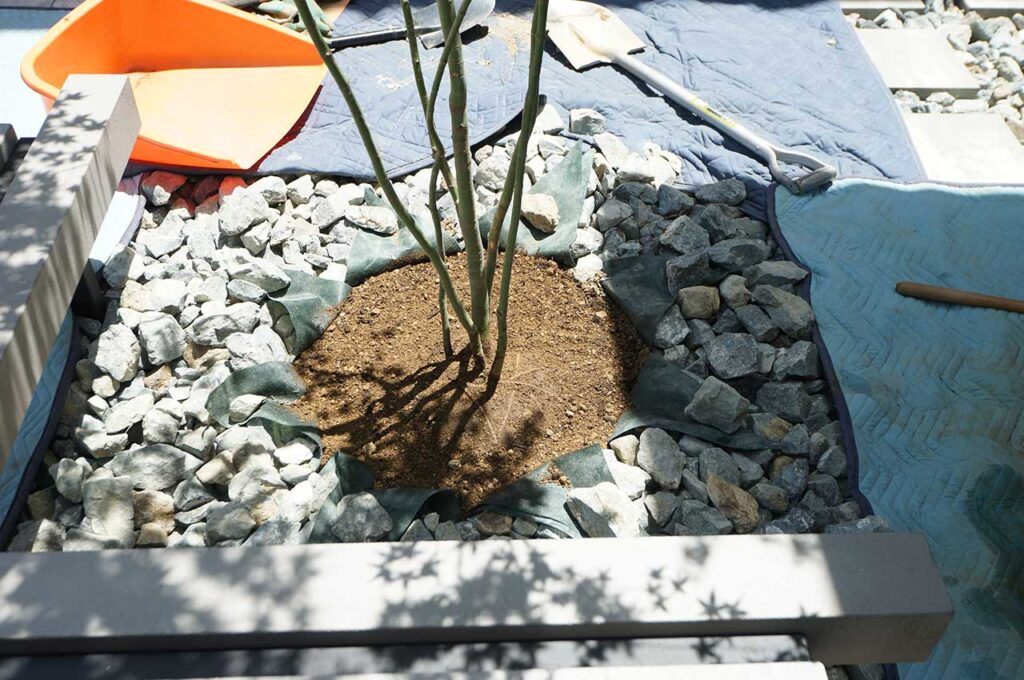 植木の植え付け方 土をならす