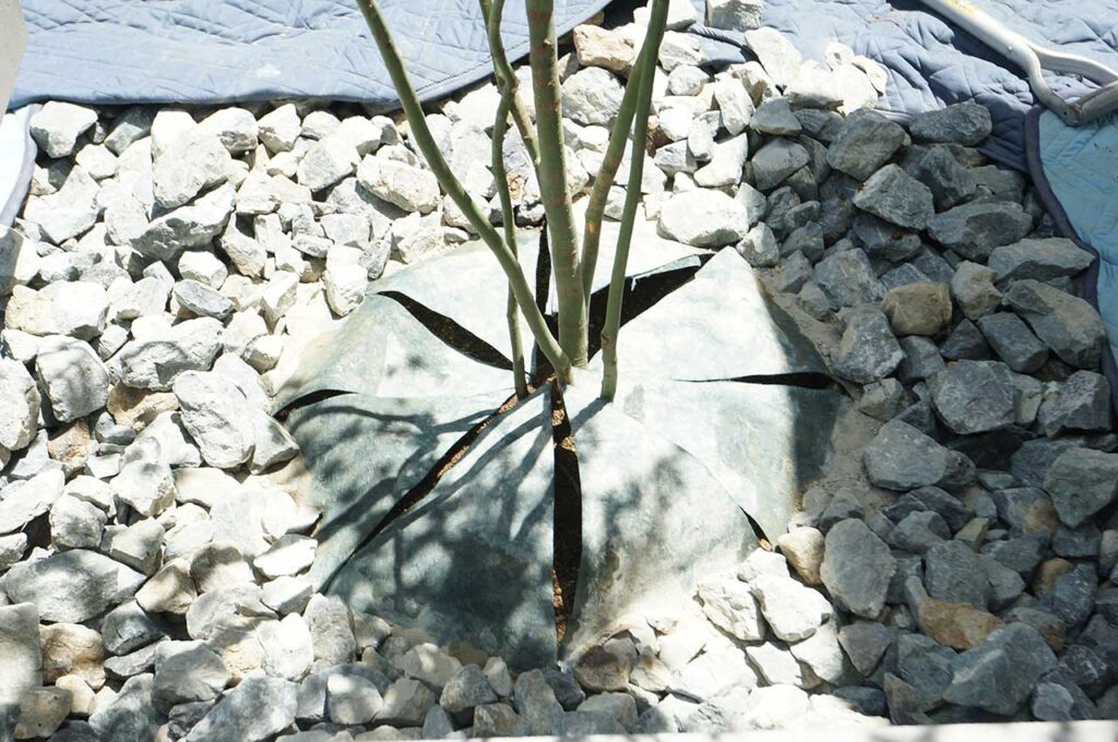 植木の植え付け方 防草シートを戻す