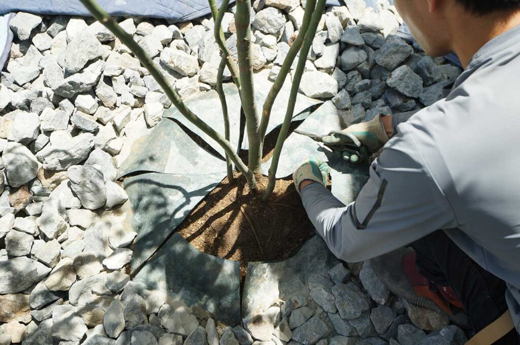 植木の植え付け方 防草シートを切る