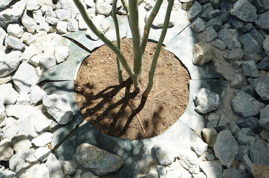 植木の植え付け方 防草シートを切る