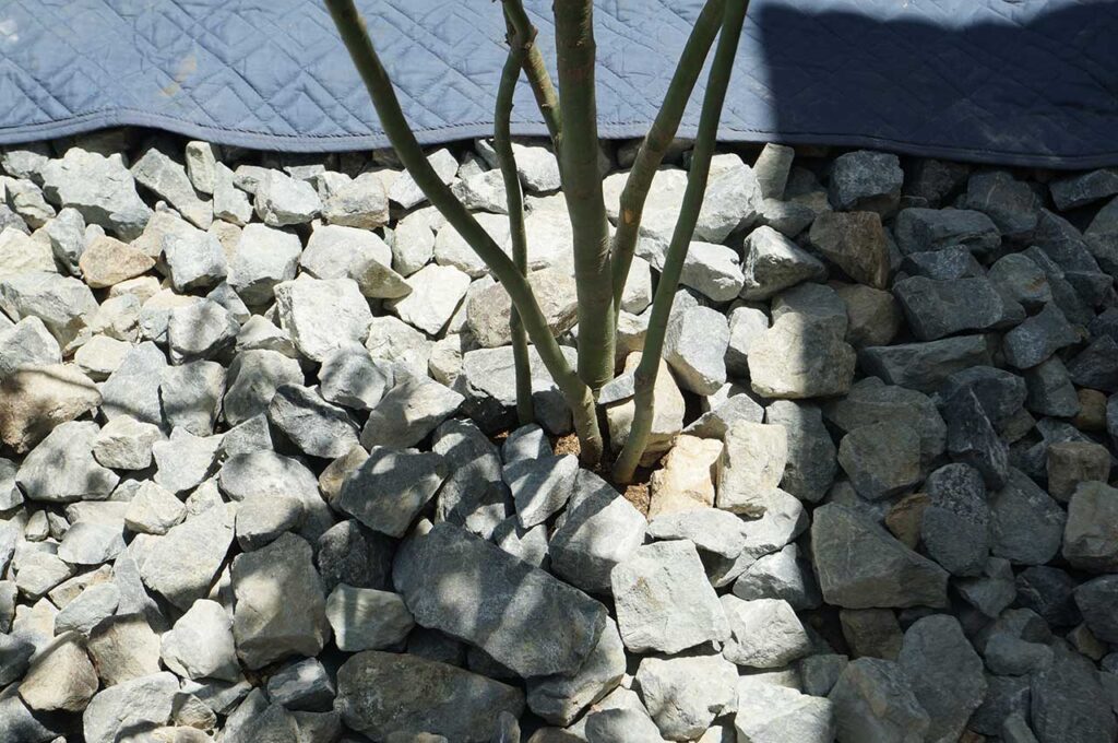 植木の植え付け方 割栗石を直す